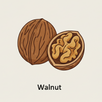 Walnut